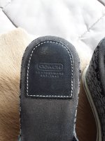 20200803_122304.jpg