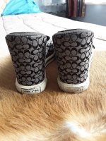 20200803_122404.jpg