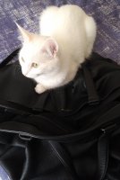 IMG_20200803_1016431.jpg