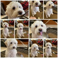 BFD945AA-6CF2-4AE9-8E0B-061C193AF37C.jpeg