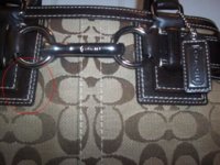Picture004.JPG