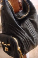 DSC00637.jpg