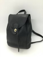 raxeitup66 fake coach H5B-9942 front.jpg