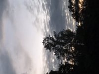 F6A1906B-38CC-4AC7-9A0C-0DE9B680CF3E.jpeg