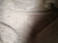 IMG_20200819_163711.jpg