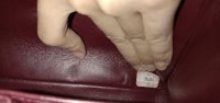 IMG_20200821_203627.jpg