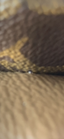 29FADC23-698A-4C52-A34B-306846B00BE9.png