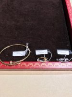 Cartier_JUCNEWVERSION.jpg
