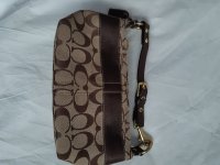Tan CC 8262020 lV.jpg