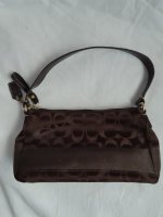 Brown CC 8262020 lV.jpg