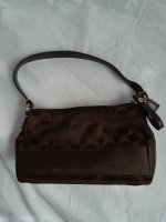 Brown CC 8262020 V.jpg