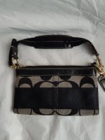 Sig Stripe 8262020 l.jpg