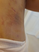20200903_140934.jpg