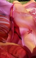 20200904_151823.jpg