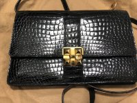 croc bag image 1.jpg