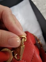 20200909_124842.jpg