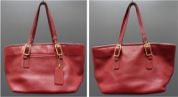 soudertoncareandshare  fake coach H2H-9846 front back.png