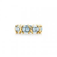 tiffany-co-schlumbergersixteen-stone-ring-10933099_934392_ED_M.jpg
