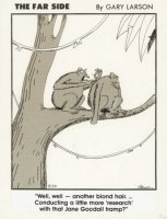 far side - goodall-LG-a.jpg