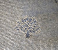 20200917_202921[1].jpg