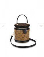 Louis Vuitton Petite Malle Souple Pros and Cons. What Fits 