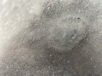 3B56D687-97D9-4AC9-86AB-8C48EF29FE3D.jpeg