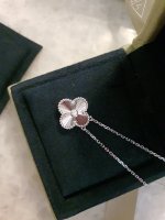 20201001_162543.jpg