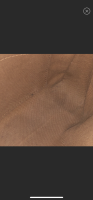 C073DBE9-6EF9-40FF-89F6-DF73E741A478.png