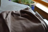 2020 10 03_3119.JPG