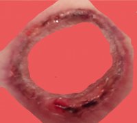 20201007_135918.jpg