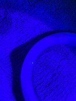 IMG-2830.jpg
