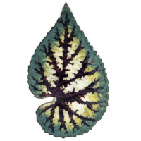1602202537762.png