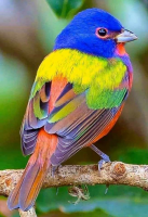1602209351691.png