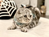 C03A113D-F7ED-43C1-B69D-D234F3F3CAA6.jpeg