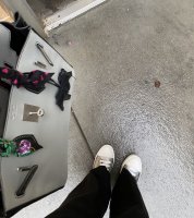 91B10040-3130-4B99-93CA-5F282DF69CAA.jpeg