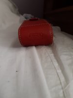 10102020 little red l.jpg