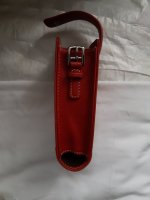 10102020 little red V.jpg