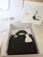 dior swan dust bag