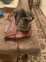IMG_3934.jpeg