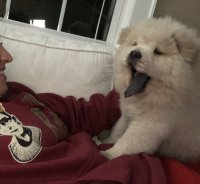 64216045-D775-44C7-999D-9BFFBD4A95F0.jpeg