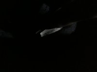 F79ADAA3-84E0-4BDF-9251-05CB02A0893B.jpeg