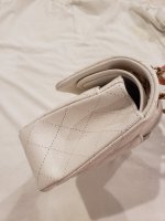 20201019_202941.jpg