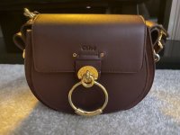 chloe tess 2.jpg