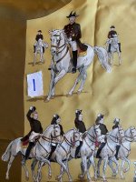 1cantersalute.jpg