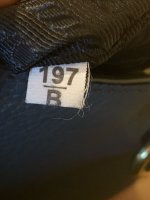 IMG_1920.jpeg