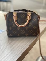 LV Nano Speedy (new) And Zoomoni Organizer 