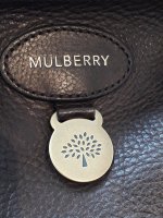 Mulberry Logo  Mulberry logo, Tree logo design, Mulberry