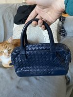 BV bag.jpg