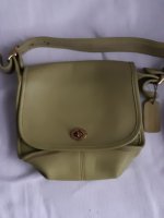 11132020 Green flap V.jpg