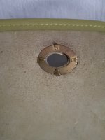 11132020 Green flap Vll.jpg